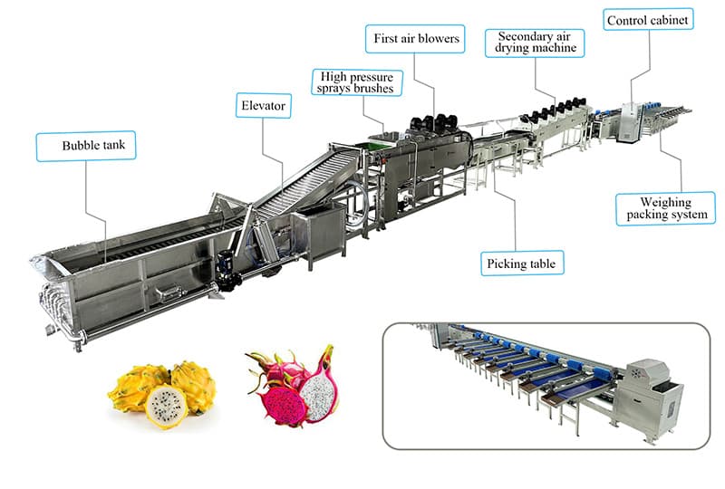 images/1679386992976dragon fruit processing machine.jpg